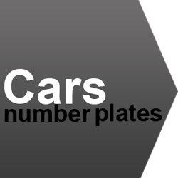 number plate ideas for car models