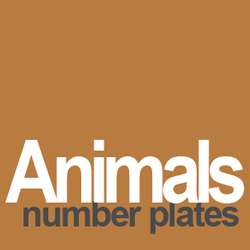 animal number plates